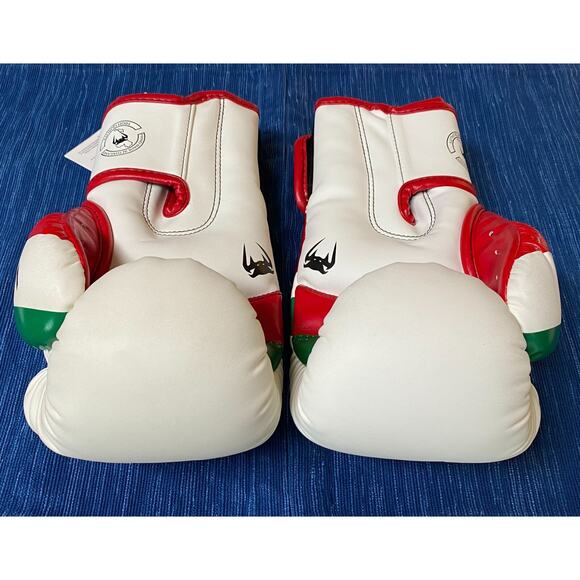 VENUM ELITE ITALY Edition Boxing Gloves 10 Oz. Ice W/ Tags Attached Used 1x 21B - Picture 4 of 4